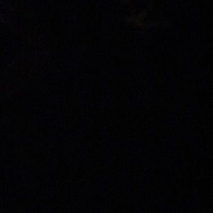 Meet your Posher, Delaney